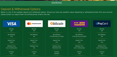 screenshot of the banking methods at AcePokies