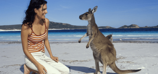 The image shows a girl on the beach with a kangaroo